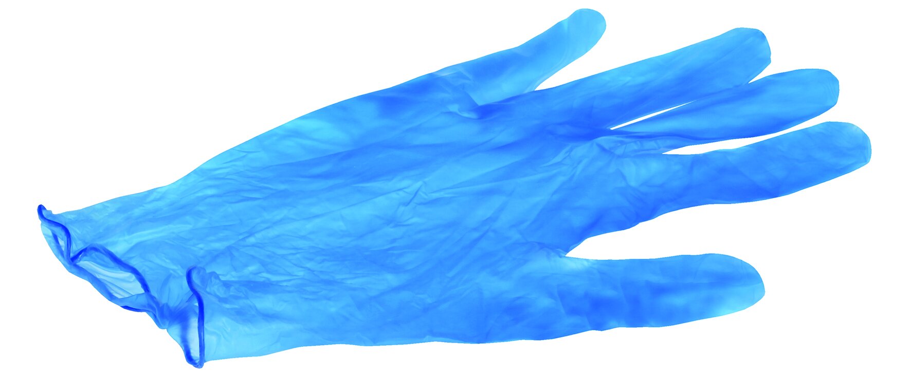Handschuhe Vinyl, blau, puderfrei, L