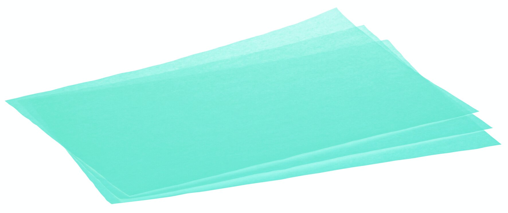 Saugpapier Carnasec, Zellstoff, 35 x 55 cm