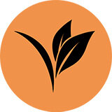Etiquette VEGAN ronde, Ø 30mm