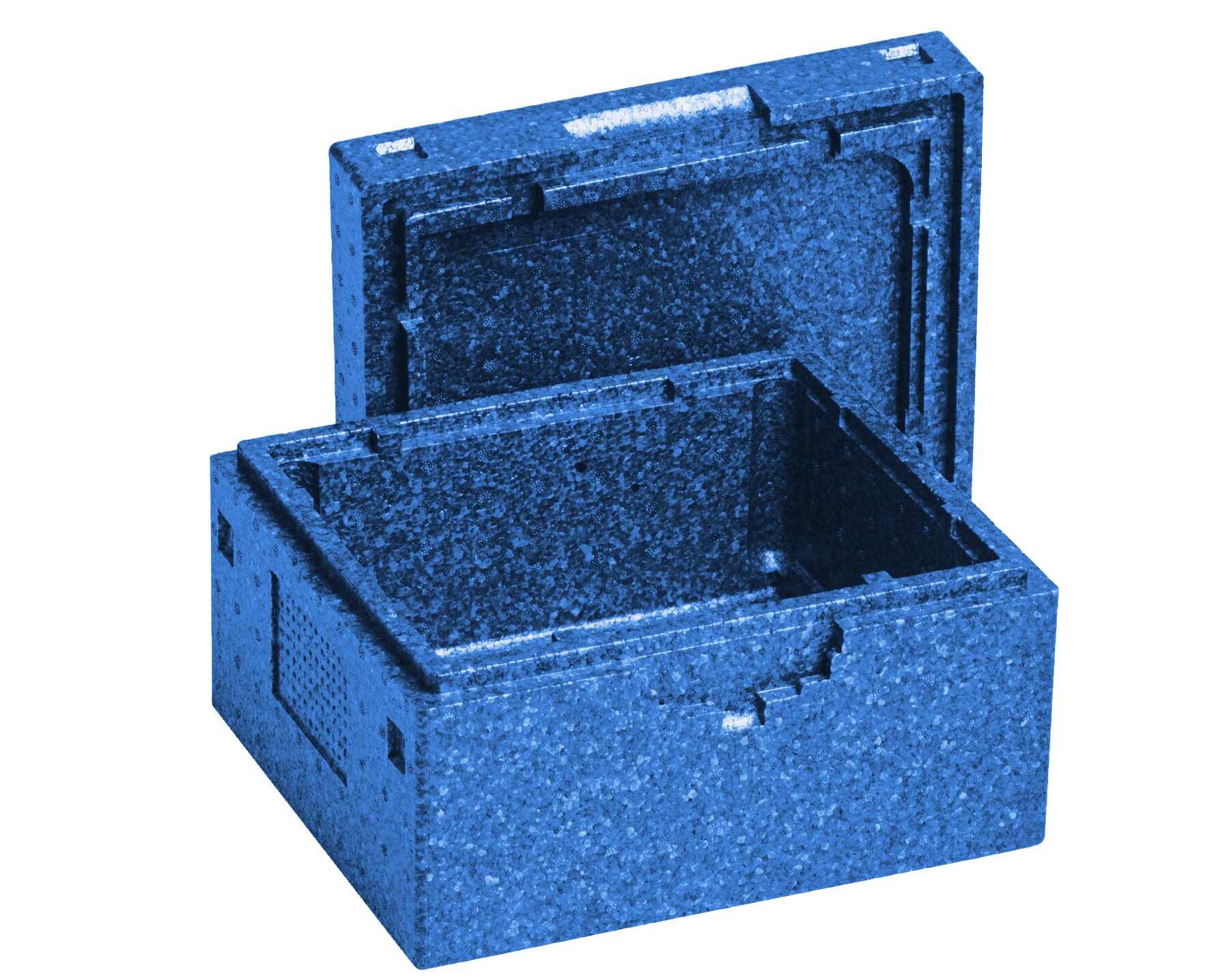 Styro box EPP bleu 255x300x180mm, pour 3 barquettes