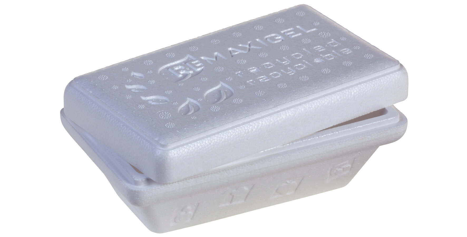 Thermobox RE-MAXIGEL 500g, modèle Termico