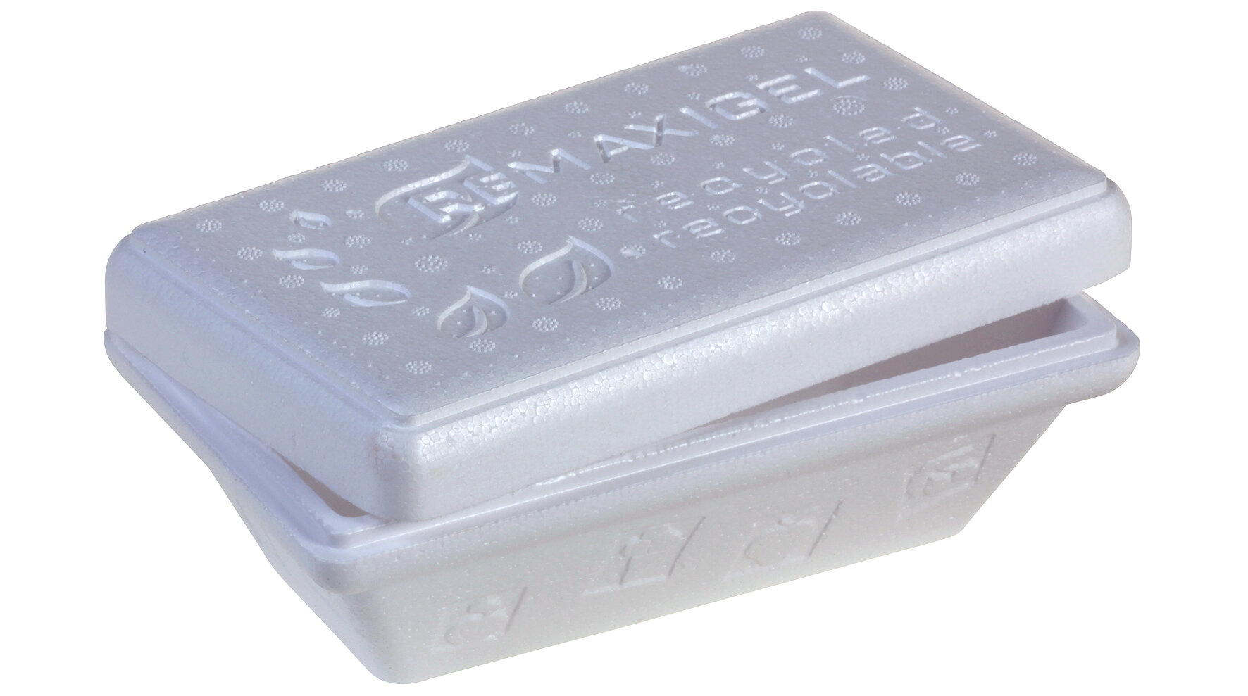 Thermobox RE-MAXIGEL 750g, modèle Termico