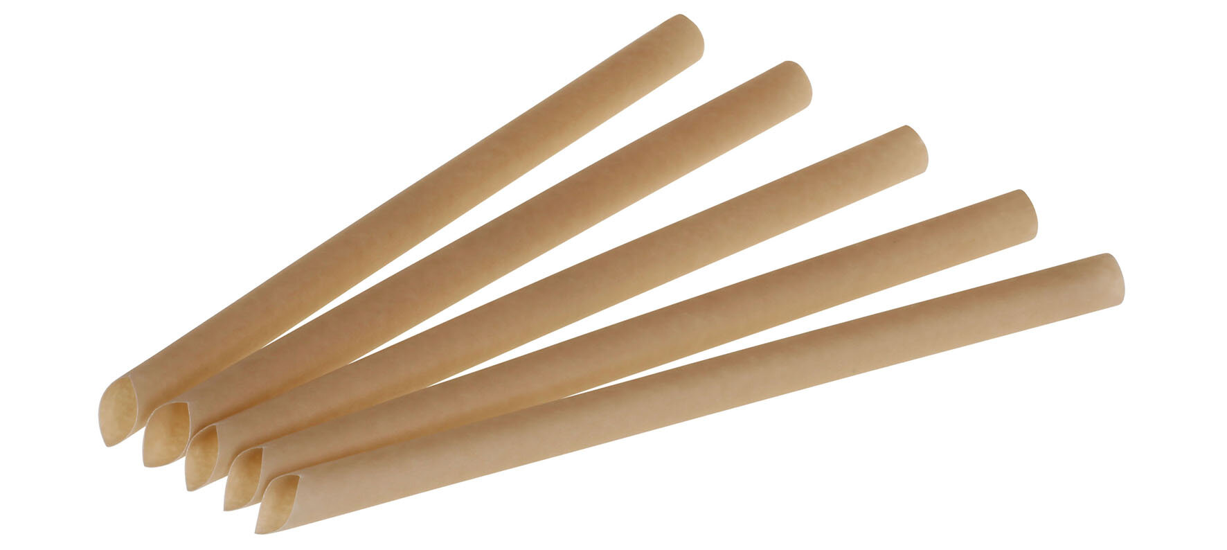 Paille canne à sucre nature Ø12x210mm, coupé en biais
