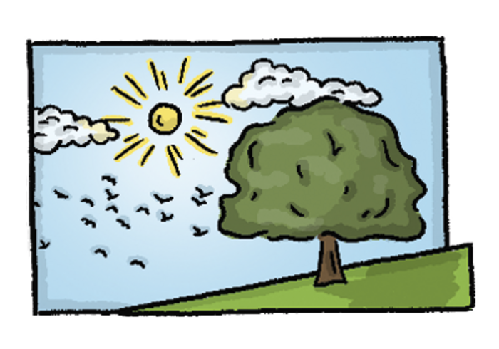 Pacovis-Leitbild mit Baum, Vögel, Sonne und Wolken