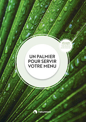 Un palmier pour servir votre menu – notre assortiment de feuilles de palmier